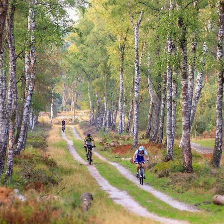 Chalet Op De Veluwe # Berk Putten Kültér fotó