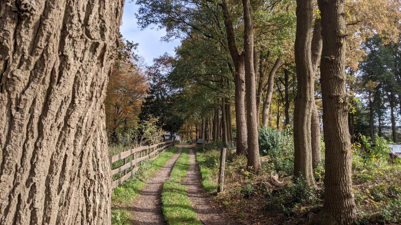 Chalet Op De Veluwe # Berk Putten Kültér fotó