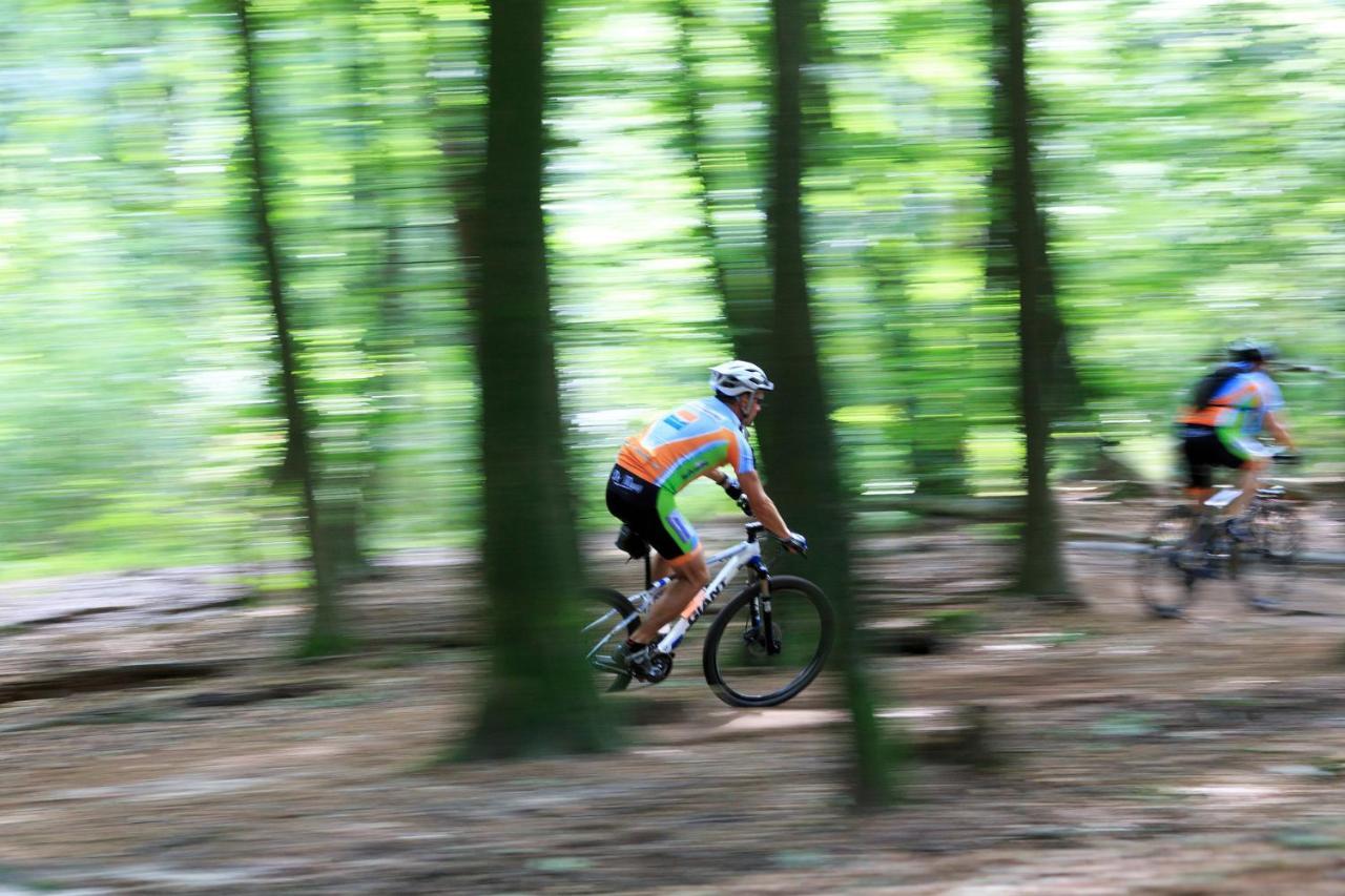 Chalet Op De Veluwe # Berk Putten Kültér fotó