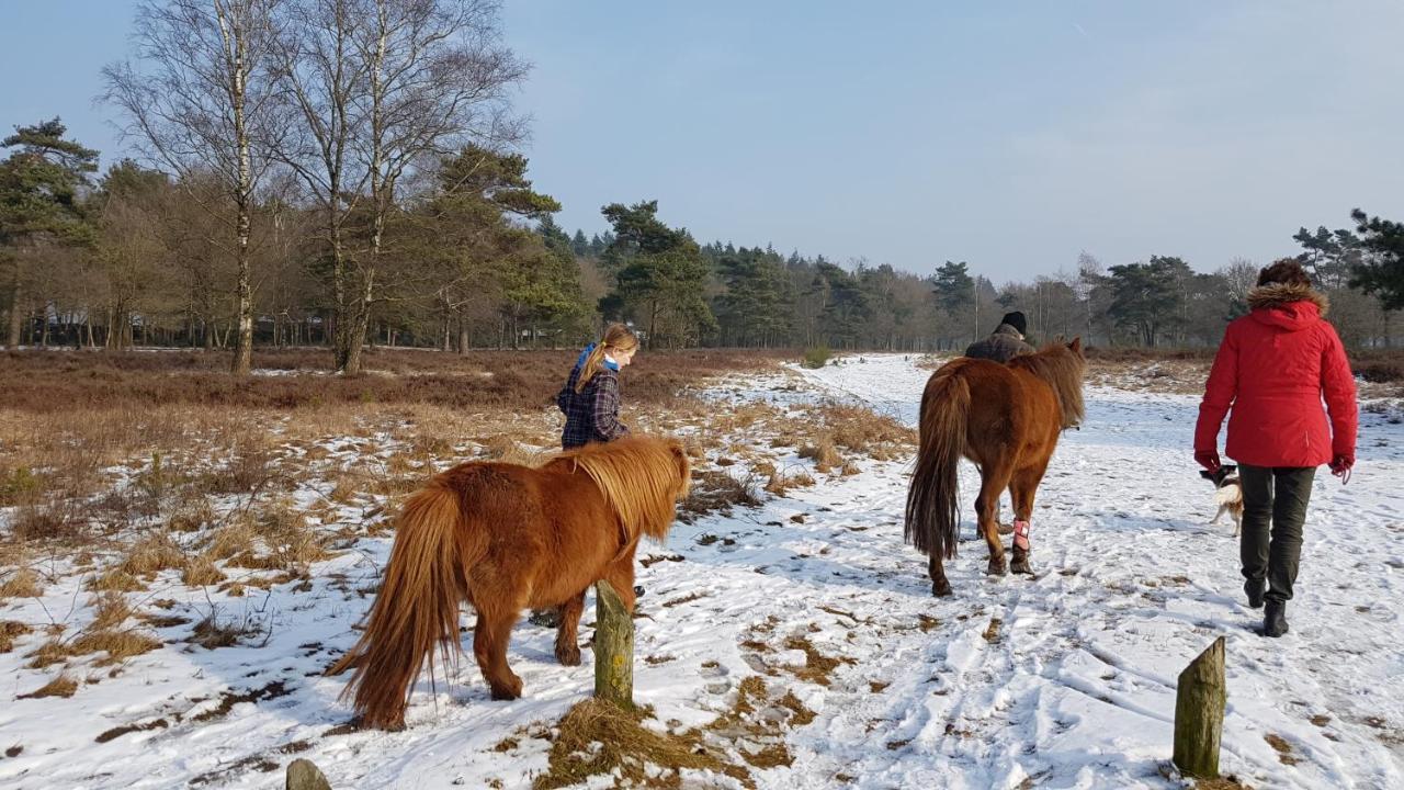 Chalet Op De Veluwe # Berk Putten Kültér fotó