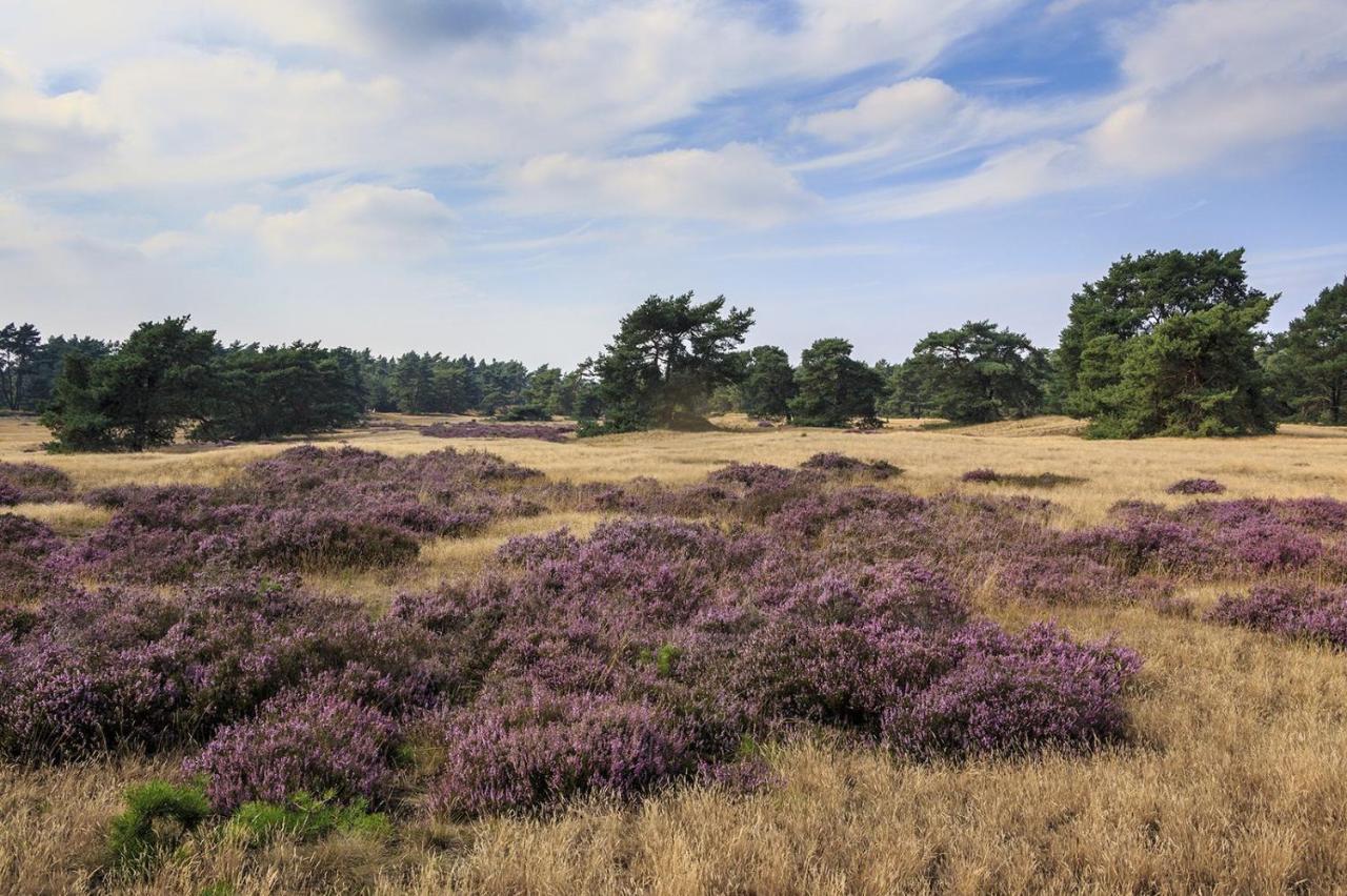 Chalet Op De Veluwe # Berk Putten Kültér fotó
