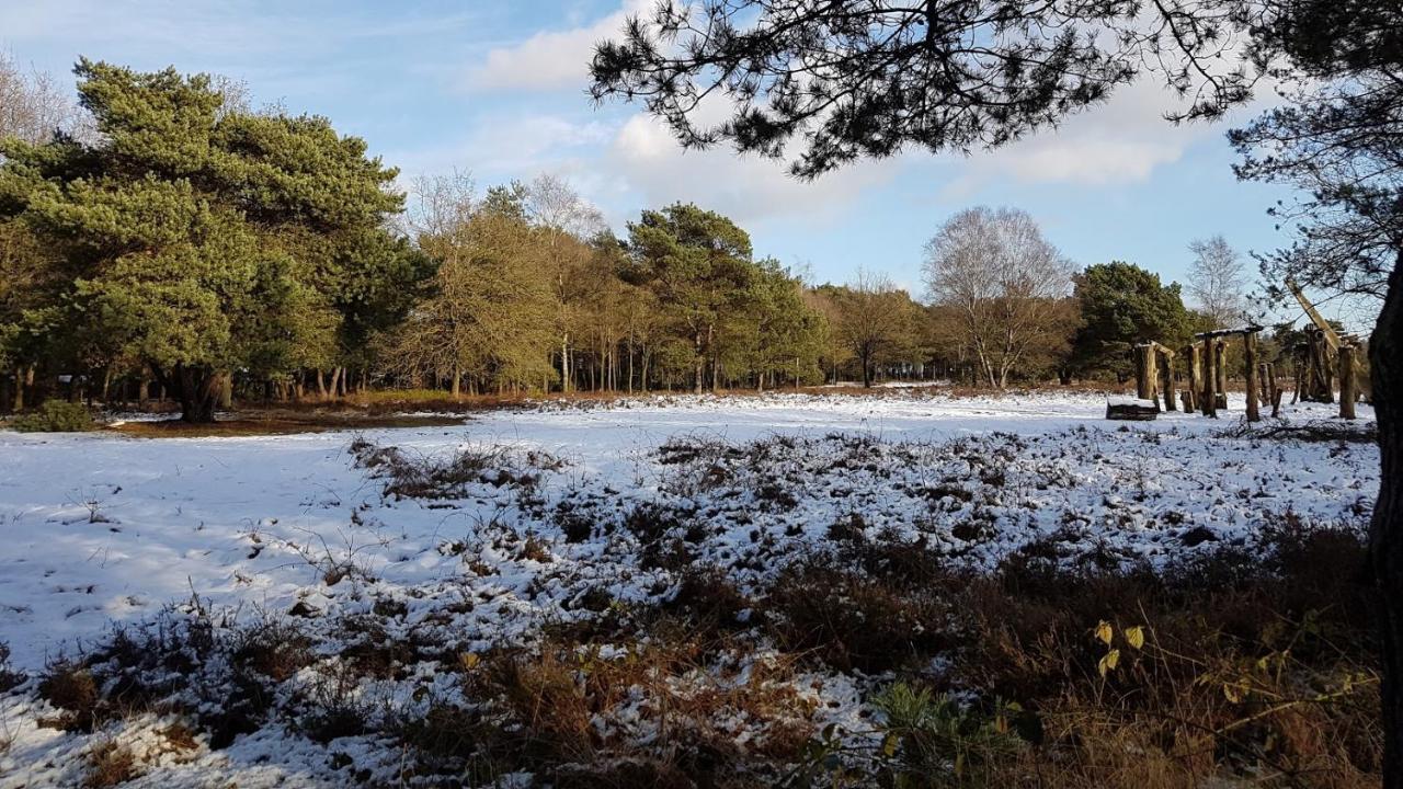 Chalet Op De Veluwe # Berk Putten Kültér fotó