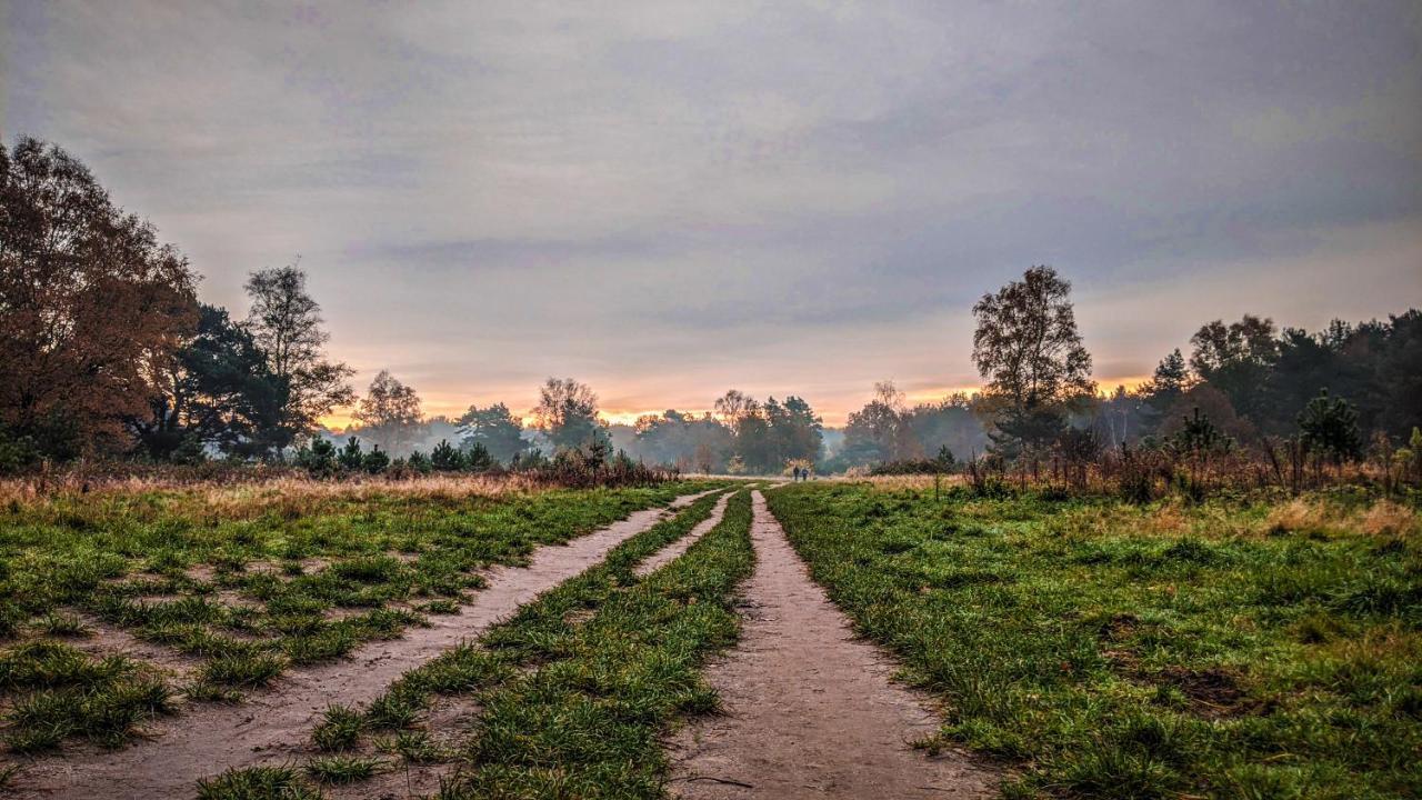 Chalet Op De Veluwe # Berk Putten Kültér fotó
