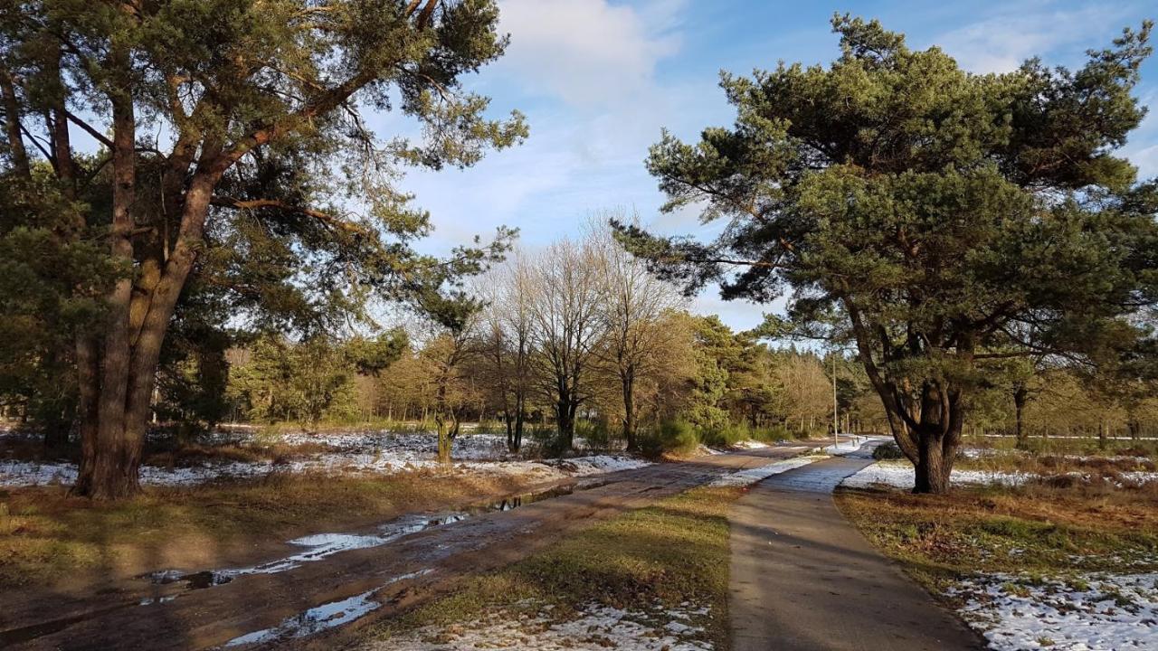 Chalet Op De Veluwe # Berk Putten Kültér fotó