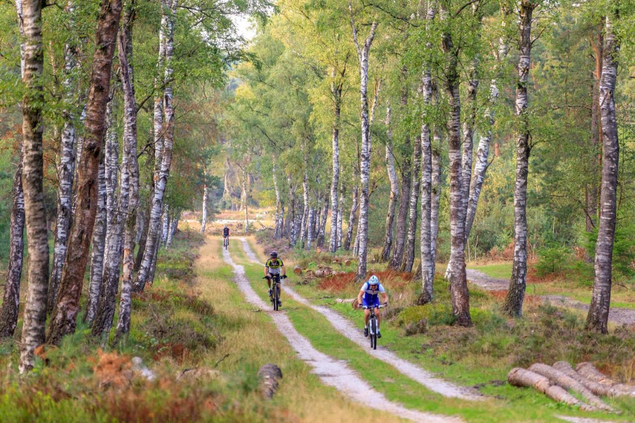 Chalet Op De Veluwe # Berk Putten Kültér fotó